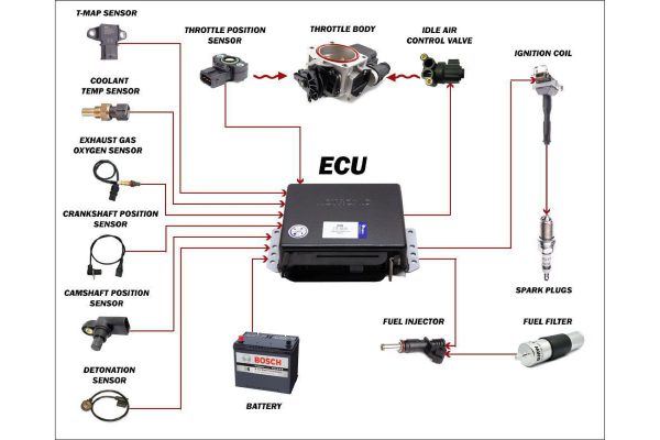 Hệ thống điều khiển ECU