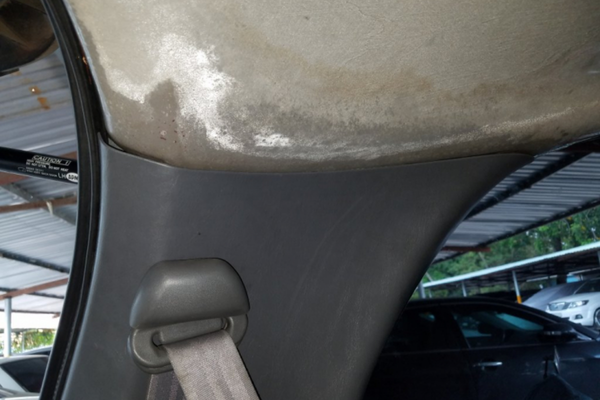 Các dấu hiệu dễ nhận biết